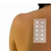 comite-alergia-cutanea
