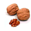 comite-de-alergia-a-alimentos
