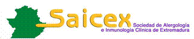 SAICEX