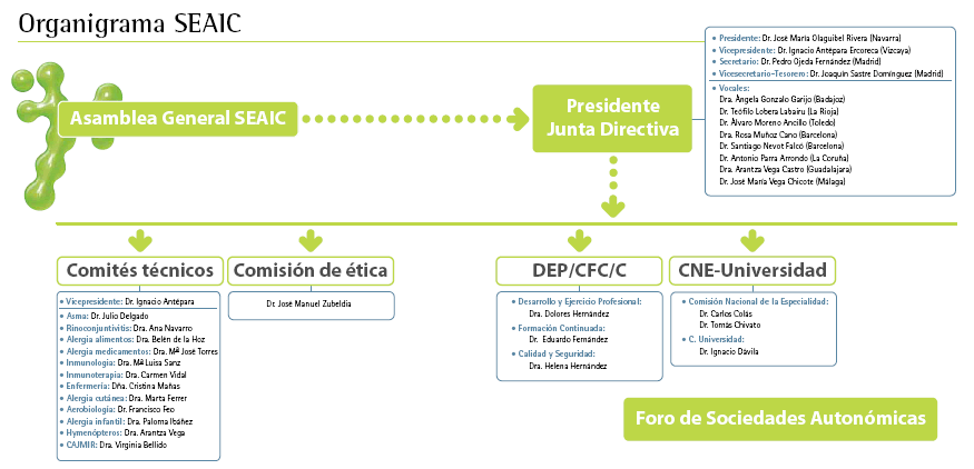 Organigrama de la SEAIC