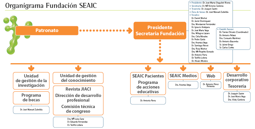 Organigrama de la Fundación de la SEAIC