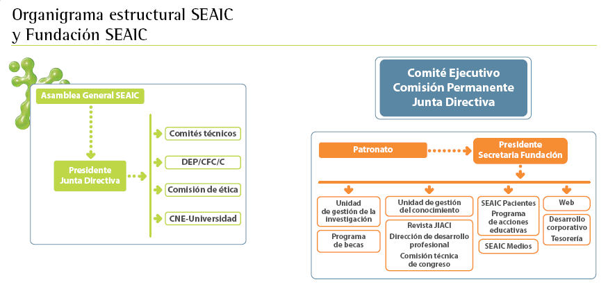 Organigrama estructural de la SEAIC y la Fundación de la SEAIC