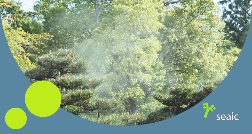 SEAIC Día Mundial de la Educación Ambiental